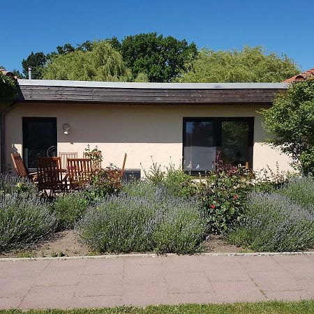 Ferienwohnung Ferienwohnanlage Am Bernsteinsee Dierhagen Exterior foto