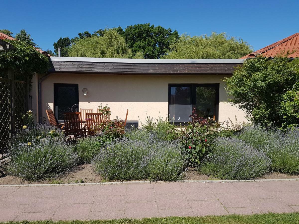 Ferienwohnung Ferienwohnanlage Am Bernsteinsee Dierhagen Exterior foto